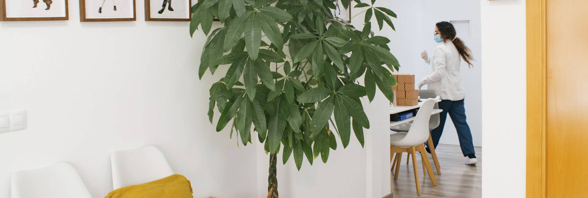 dentista cunit rocabayera